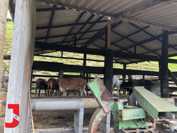 Imagem Fazenda à Venda, em . - Domingos Martins Imagem Fazenda à Venda, em . - Domingos Martins
