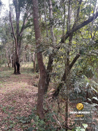 Imagem Terreno à Venda, 6.400 m² em Batatuba - Piracaia