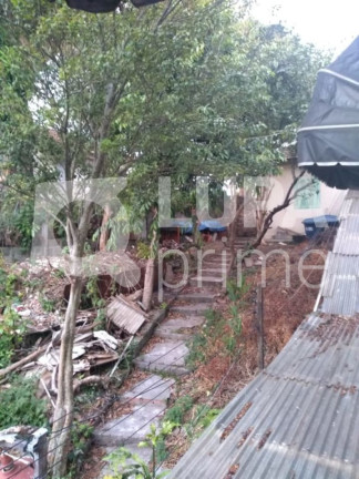 Imagem Terreno à Venda, 320 m² em Vila Maria Alta - São Paulo