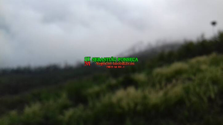 Imagem Chácara à Venda, 30.000 m² em Centro - Monteiro Lobato Imagem Chácara à Venda, 30.000 m² em Centro - Monteiro Lobato