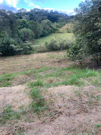Imagem Chácara com 4 Quartos à Venda, 6.000 m² em Pará - Carmópolis De Minas
