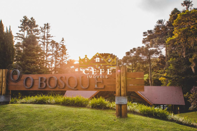 Imagem Casa com 4 Quartos à Venda, 385 m² em Centro - Gramado Imagem Casa com 4 Quartos à Venda, 385 m² em Centro - Gramado