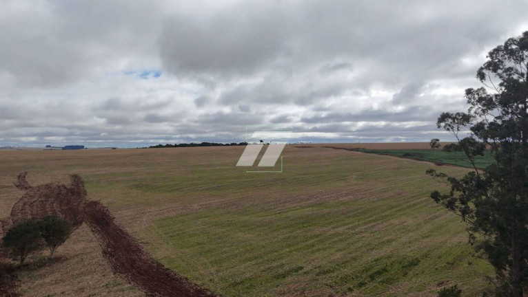 Imagem Galpão à Venda,  em área Rural De Cascavel - Cascavel
