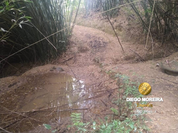 Imagem Chácara com 2 Quartos à Venda, 60 m² em Terra Preta - Mairiporã Imagem Chácara com 2 Quartos à Venda, 60 m² em Terra Preta - Mairiporã