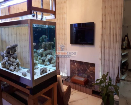 Imagem Casa com 3 Quartos à Venda, 1.018 m² em Azambuja - Brusque