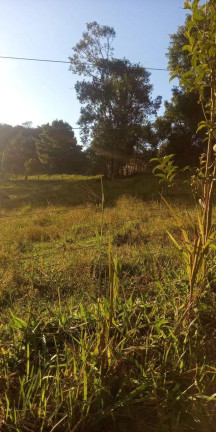 Imagem Imóvel com 3 Quartos à Venda, 47.000 m² em Centro - Campo Largo