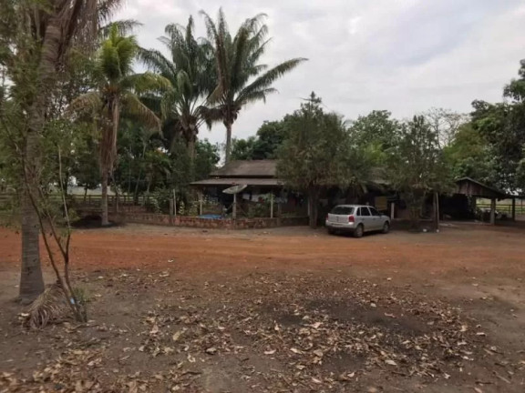 Imagem Fazenda à Venda, 1 m² em Zona Rural - Sinop Imagem Fazenda à Venda, 1 m² em Zona Rural - Sinop