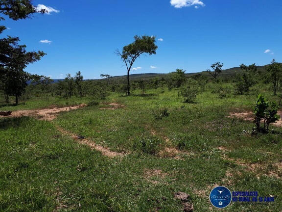 Fazenda à Venda, 77 m² em Zona Rural - Flores De Goiás