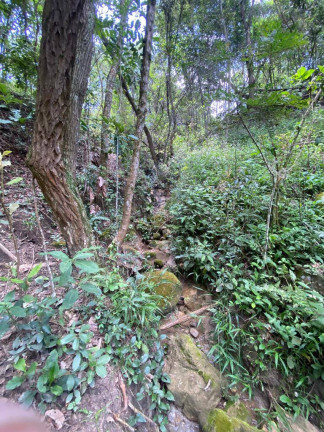 Imagem Terreno à Venda, 3 m² em Santa Terezinha De Minas - Itatiaiuçu