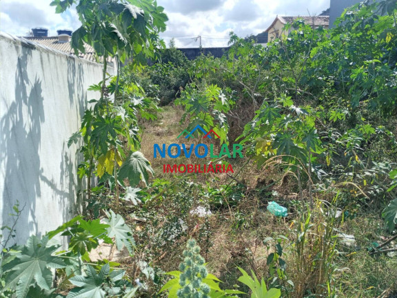 Imagem Terreno à Venda, 360 m² em Campo Redondo - São Pedro Da Aldeia