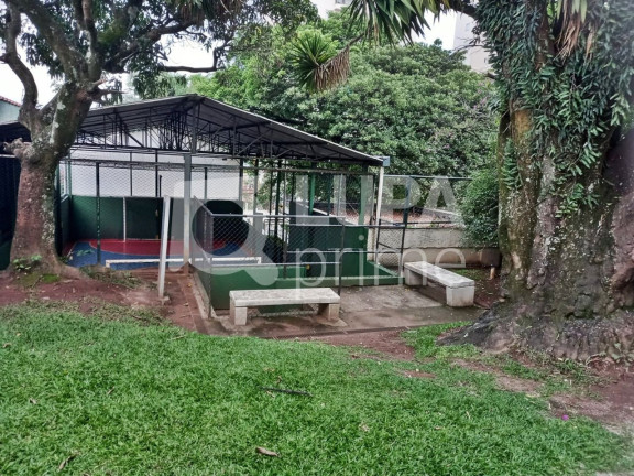 Imagem Apartamento com 2 Quartos à Venda, 50 m² em Vila Maria - São Paulo Imagem Apartamento com 2 Quartos à Venda, 50 m² em Vila Maria - São Paulo