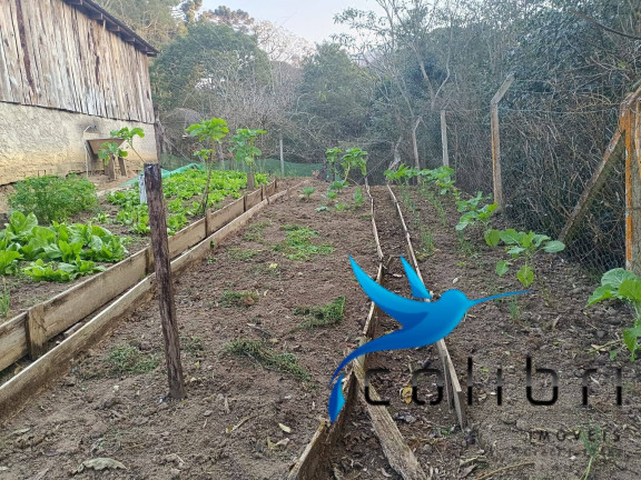 Imagem Chácara com 2 Quartos à Venda, 6.890 m² em Pavãozinho - Agudos Do Sul