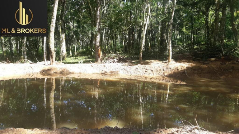 Imagem Imóvel à Venda, 20.000 m² em Quitandinha - Quitandinha Imagem Imóvel à Venda, 20.000 m² em Quitandinha - Quitandinha