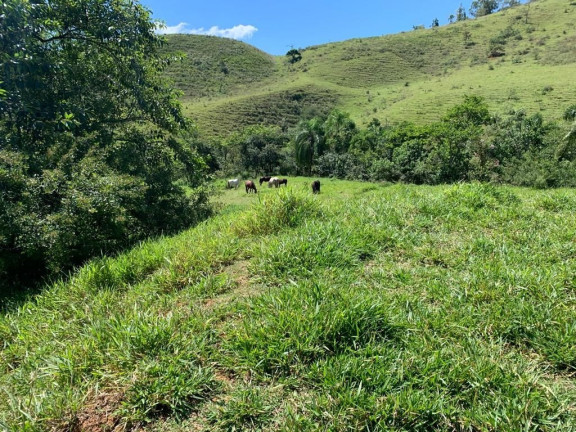 Imagem Chácara com 3 Quartos à Venda, 300 m² em Bom Sucesso - São José Dos Campos Imagem Chácara com 3 Quartos à Venda, 300 m² em Bom Sucesso - São José Dos Campos