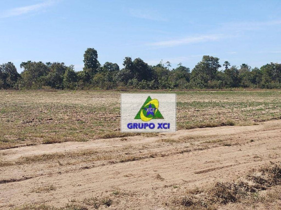 Imagem Fazenda à Venda, 135.000.000 m² em Centro - Ribeirão Cascalheira