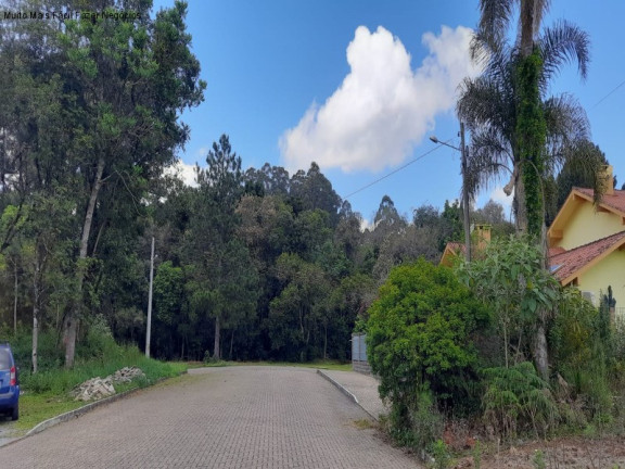 Imagem Terreno à Venda, 1.577 m² em Logradouro - Nova Petrópolis