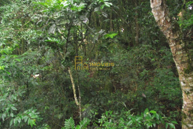 Imagem Terreno à Venda, 2.358 m² em Parque Alvorada - Santana De Parnaíba Imagem Terreno à Venda, 2.358 m² em Parque Alvorada - Santana De Parnaíba