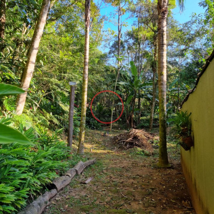Imagem Terreno à Venda, 400 m² em Boiçucanga - São Sebastião Imagem Terreno à Venda, 400 m² em Boiçucanga - São Sebastião