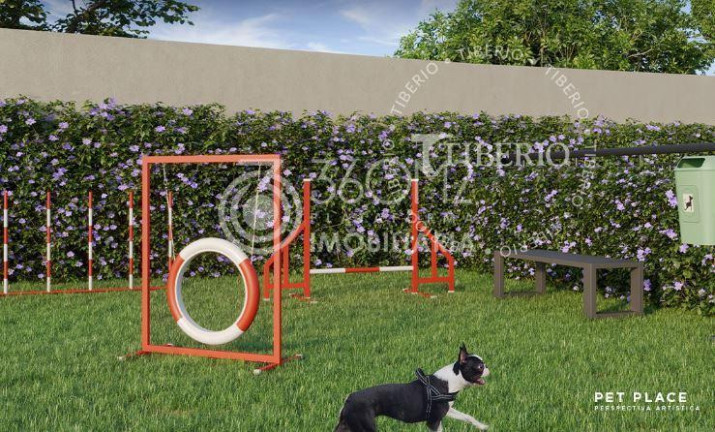 Imagem Apartamento com 2 Quartos à Venda, 50 m² em Campestre - Santo André