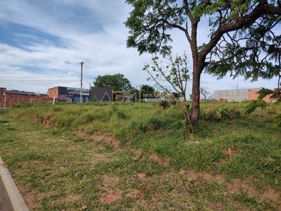Terreno à Venda, 300 m² em Jardim Botucatu (rubião Júnior) - Botucatu