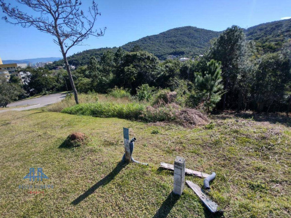 Imagem Terreno à Venda, 638 m² em Itacorubi - Florianópolis