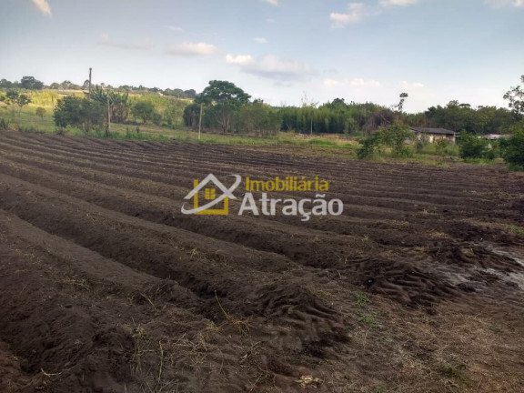 Imagem Imóvel com 2 Quartos à Venda, 33.000 m² em Ipelândia - Suzano