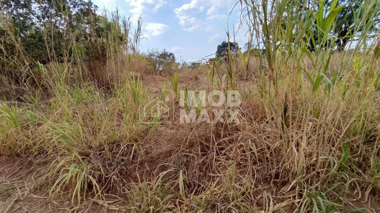 Imagem Imóvel com 7 Quartos à Venda, 8 m² em Setor Habitacional Fercal (sobradinho) - Brasília Imagem Imóvel com 7 Quartos à Venda, 8 m² em Setor Habitacional Fercal (sobradinho) - Brasília