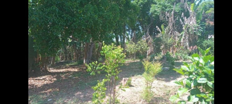 Imagem Imóvel com 2 Quartos à Venda, 265 m² em Iara - Atibaia