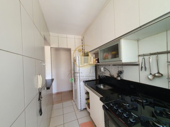 Imagem Apartamento com 2 Quartos à Venda, 50 m² em Jardim Yolanda - São José Do Rio Preto Imagem Apartamento com 2 Quartos à Venda, 50 m² em Jardim Yolanda - São José Do Rio Preto