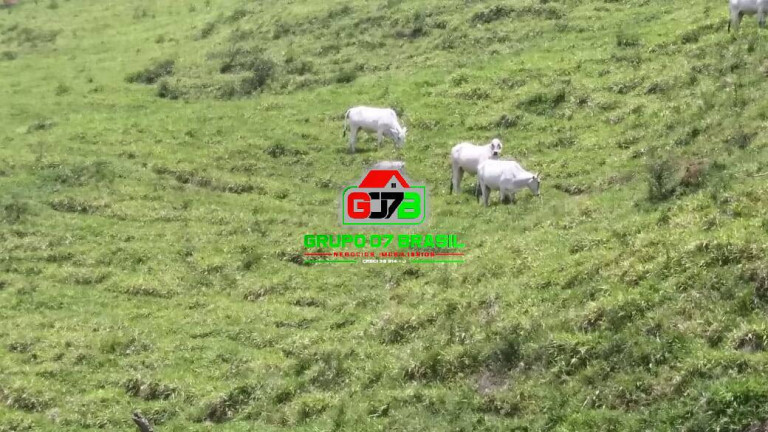 Imagem Fazenda à Venda, 271 m² em área Rural De Pindamonhangaba - Pindamonhangaba Imagem Fazenda à Venda, 271 m² em área Rural De Pindamonhangaba - Pindamonhangaba