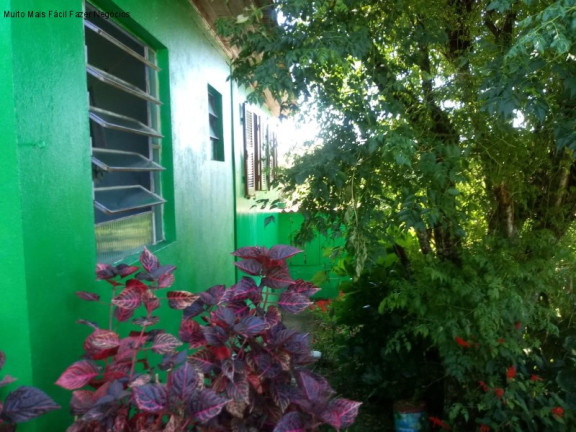 Imagem Casa com 3 Quartos à Venda, 63 m² em Germânia - Nova Petrópolis