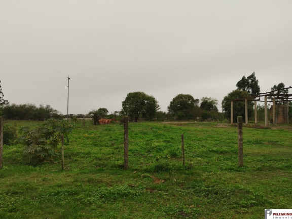Terreno à Venda, 5.236 m² em Balneário Rebello - Tapes