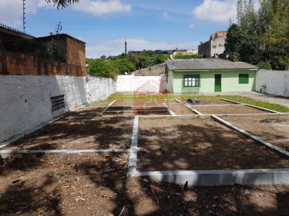 Imagem Terreno à Venda, 616 m² em Santa Tereza - Porto Alegre