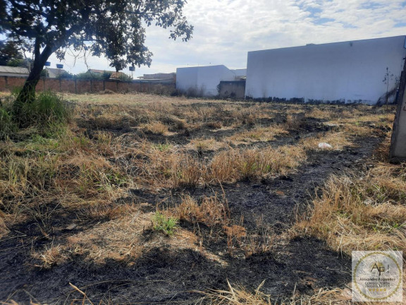 Imagem Imóvel à Venda, 1.220 m² em Independência - Aparecida De Goiânia Imagem Imóvel à Venda, 1.220 m² em Independência - Aparecida De Goiânia