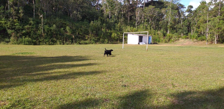 Imagem Imóvel à Venda, 242.000 m² em Palmeiras - Juquitiba Imagem Imóvel à Venda, 242.000 m² em Palmeiras - Juquitiba