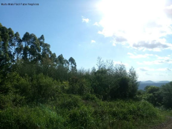 Imagem Terreno à Venda, 3 m² em Fazenda Pirajá - Nova Petrópolis
