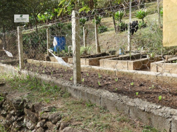 Imagem Chácara com 3 Quartos à Venda, 5.000 m² em Mailasqui - São Roque Imagem Chácara com 3 Quartos à Venda, 5.000 m² em Mailasqui - São Roque