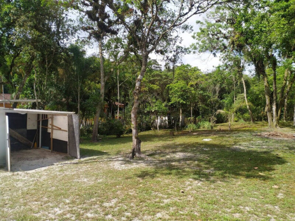 Imagem Chácara com 3 Quartos à Venda, 1 m² em Jardim Coronel - Itanhaém Imagem Chácara com 3 Quartos à Venda, 1 m² em Jardim Coronel - Itanhaém