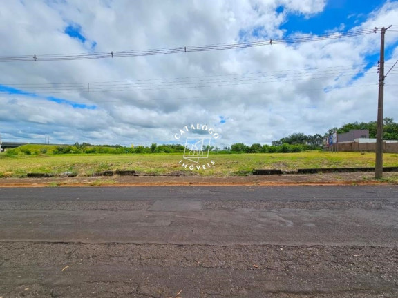 Imóvel à Venda, 186 m² em City Ribeirão - Ribeirão Preto
