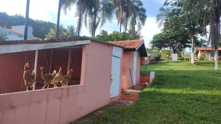 Imagem Imóvel com 5 Quartos à Venda, 7.000 m² em Centro - Uberlândia