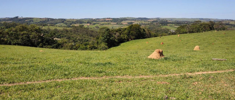 Imagem Fazenda à Venda, 1.016 m² em Bairro Dos Leites - Piedade Imagem Fazenda à Venda, 1.016 m² em Bairro Dos Leites - Piedade