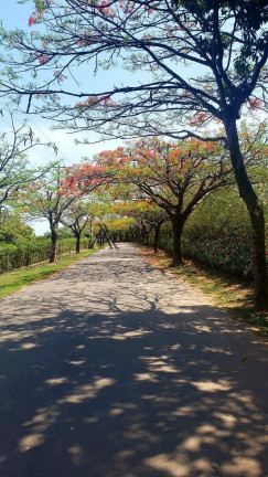 Imagem Terreno à Venda, 1.244 m² em Cafezal 2 - Itupeva Imagem Terreno à Venda, 1.244 m² em Cafezal 2 - Itupeva