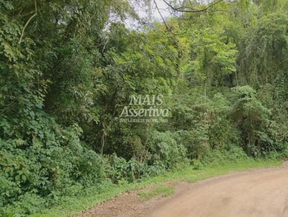 Imagem Imóvel à Venda, 50 m² em Centro - São Francisco De Paula Imagem Imóvel à Venda, 50 m² em Centro - São Francisco De Paula