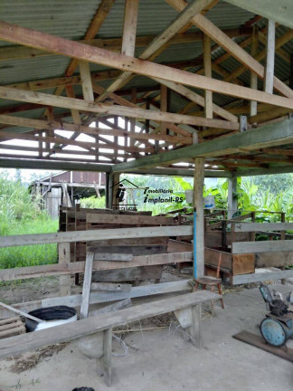 Imagem Chácara com 3 Quartos à Venda, 2.500 m² em Sanga Funda - Bom Retiro Do Sul