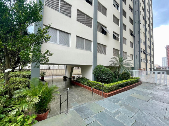 Imagem Apartamento com 2 Quartos à Venda, 45 m² em Cambuci - São Paulo Imagem Apartamento com 2 Quartos à Venda, 45 m² em Cambuci - São Paulo