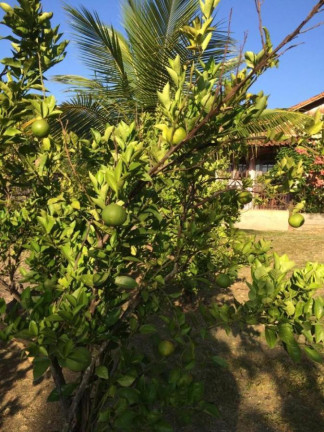 Imagem Imóvel à Venda, 2.000 m² em Campo Grande - Rio De Janeiro