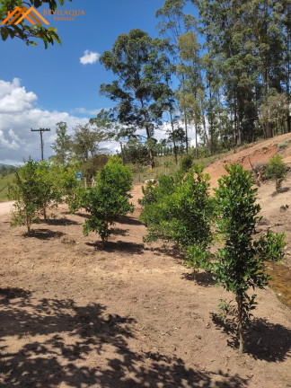 Imagem Imóvel com 3 Quartos à Venda, em Aratingauba - Forquilhinha Imagem Imóvel com 3 Quartos à Venda, em Aratingauba - Forquilhinha