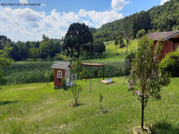 Imagem Imóvel com 4 Quartos à Venda, 300 m² em Pinhal Alto - Nova Petrópolis