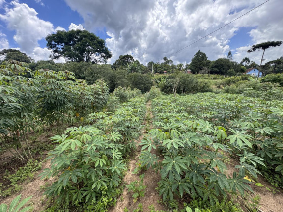 Imagem Imóvel à Venda, 5.500 m² em Rio Da Várzea - Quitandinha Imagem Imóvel à Venda, 5.500 m² em Rio Da Várzea - Quitandinha