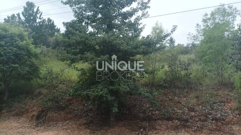Imagem Terreno à Venda, 6.240 m² em Ivoturucaia - Jundiaí Imagem Terreno à Venda, 6.240 m² em Ivoturucaia - Jundiaí